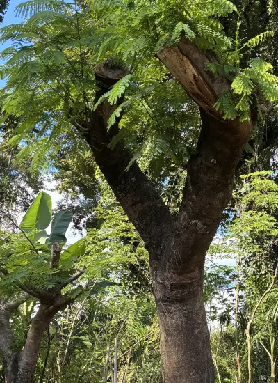 compressed_1 (2)